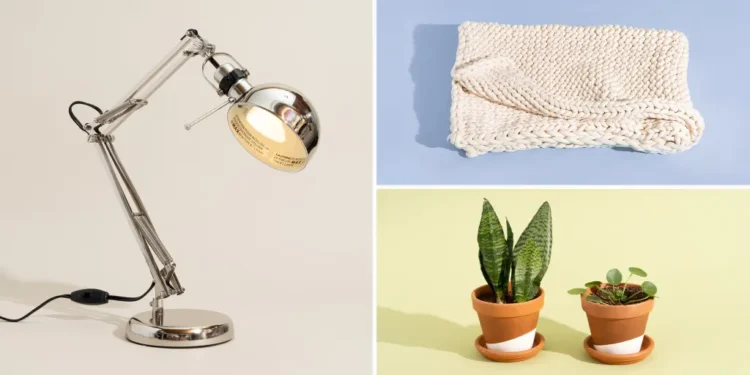 Actually Good Dorm Decor That You’ll Want to Keep (Even After Graduation)